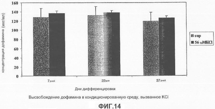 Получение терминально дифференцированных дофаминергических нейронов из эмбриональных стволовых клеток человека (патент 2345133)