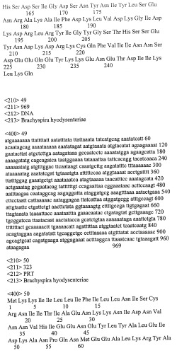 Гены и белки brachyspira hyodysenteriae и их применение (патент 2440369)