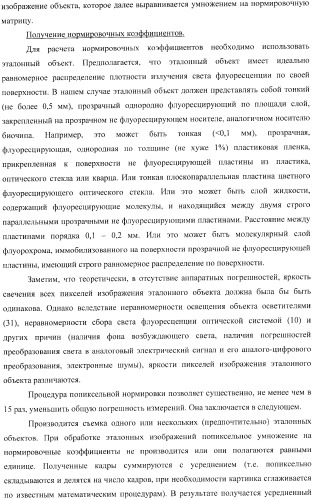 Многофункциональное устройство для диагностики и способ тестирования биологических объектов (патент 2363948)