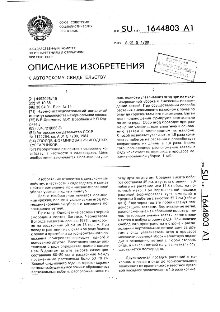 Способ формирования ягодных кустарников (патент 1644803)