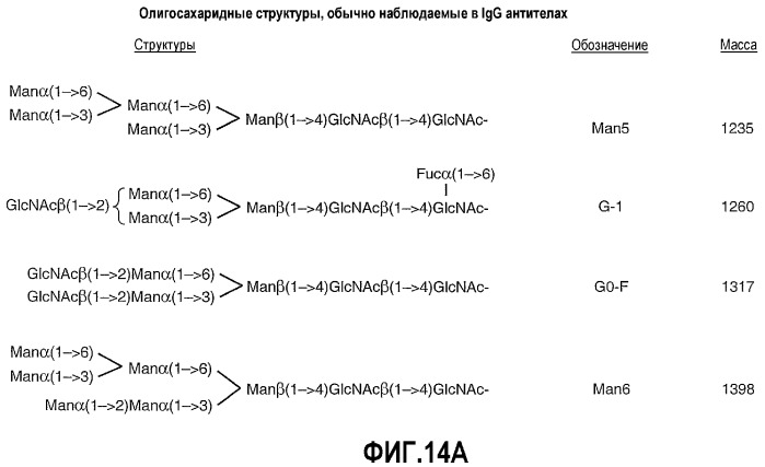 Композиция антител к her2 (патент 2361880)