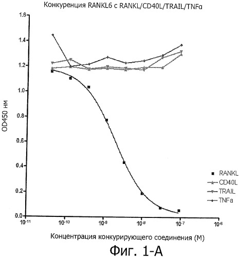 Аминокислотные последовательности, направленные на rank-l, и полипептиды, включающие их, для лечения заболеваний и нарушений костей (патент 2481355)