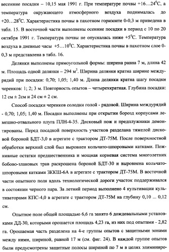 Фиторемедиационный способ очистки почв от тяжелых металлов (патент 2359444)