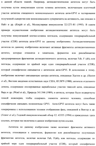 Антитела к гликопротеину vi и способы продуцирования и использования этих антител (патент 2407752)