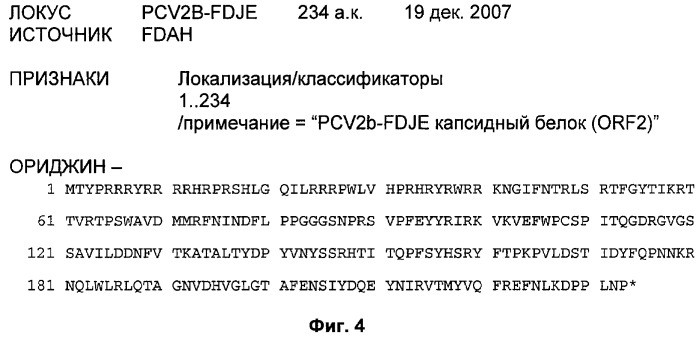 Способы и композиции для иммунизации свиней против свиного цирковируса (патент 2493254)