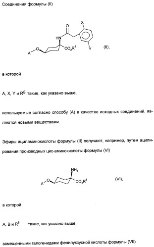 Цис-алкоксизамещенные спироциклические производные 1-h- пирролидин-2, 4-диона в качестве средств защиты от вредителей (патент 2340601)