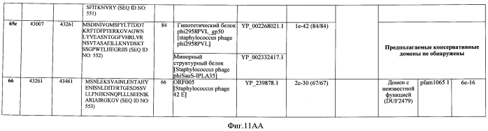 Бактериофаг, обладающий активностью против pseudomonas aeruginosa, белки бактериофага и способы их применения (патент 2580248)