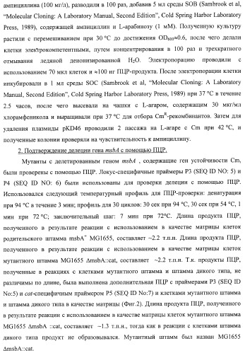 Способ получения l-треонина с использованием бактерии, принадлежащей к роду escherichia, в которой инактивирован ген msba (патент 2392313)