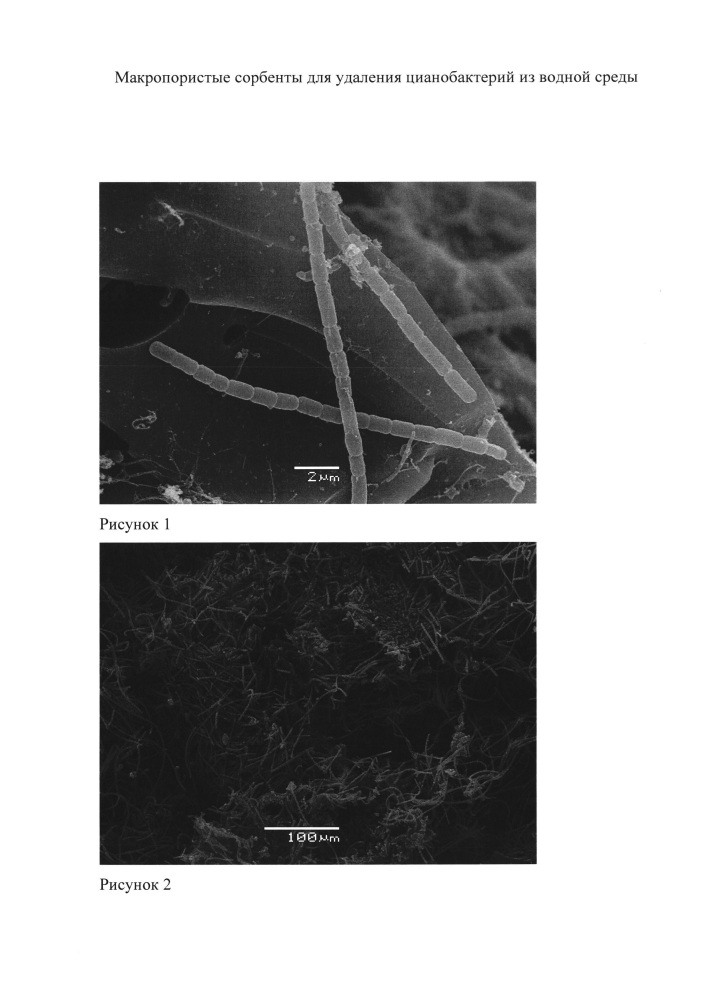 Макропористые сорбенты для удаления цианобактерий из водной среды (патент 2620388)