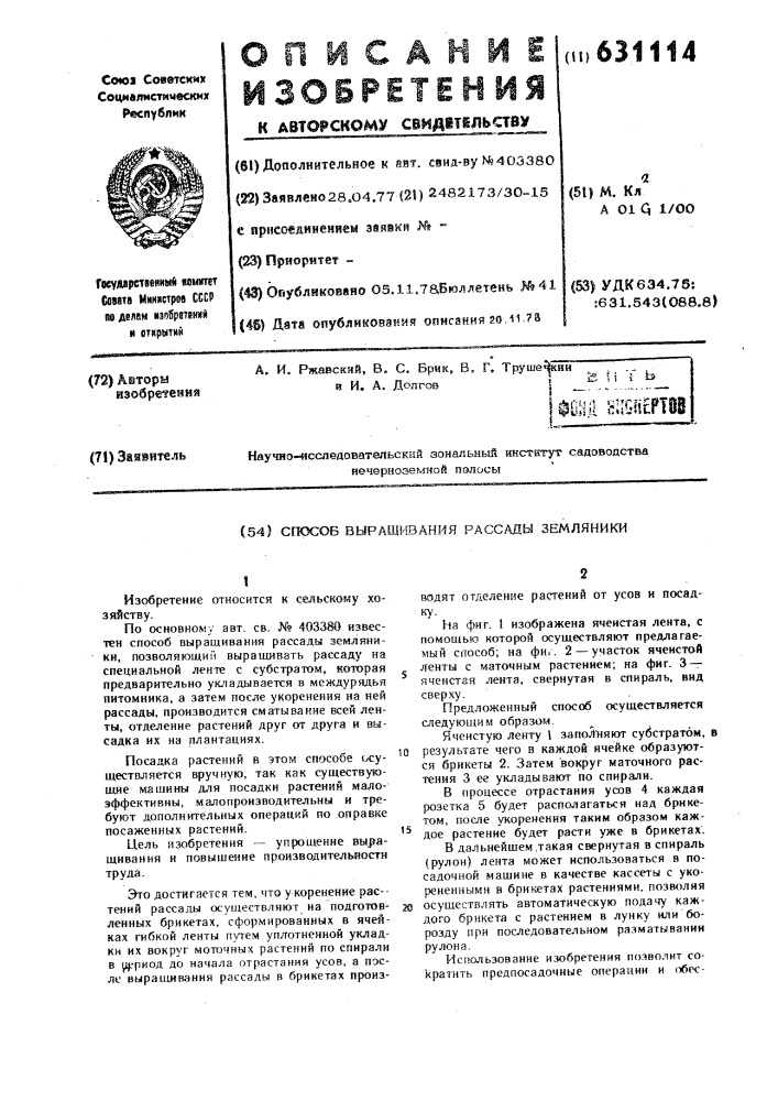 Способ выращивания рассады земляники (патент 631114)