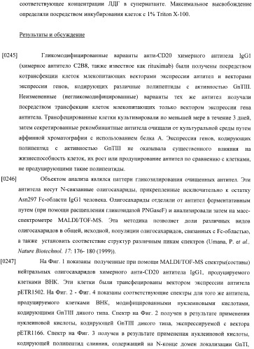 Конструкции слияния и их применение для получения антител с повышенными аффинностью связывания fc-рецептора и эффекторной функцией (патент 2407796)