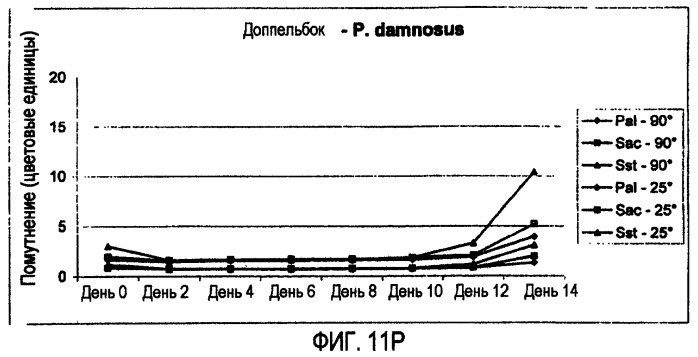 Микробиологически стабилизированное пиво (патент 2380400)