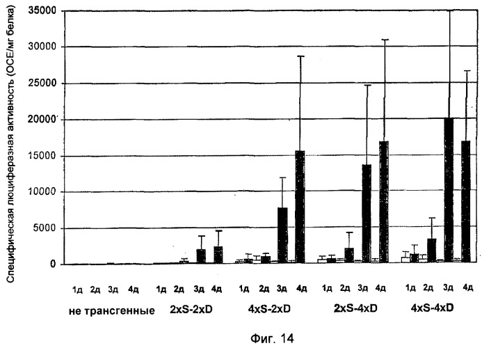 Аутоактивирующийся белок устойчивости (патент 2375453)
