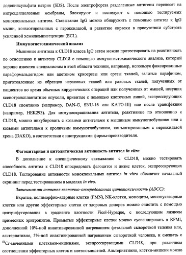 Моноклональные антитела к клаудину-18 для лечения рака (патент 2445319)