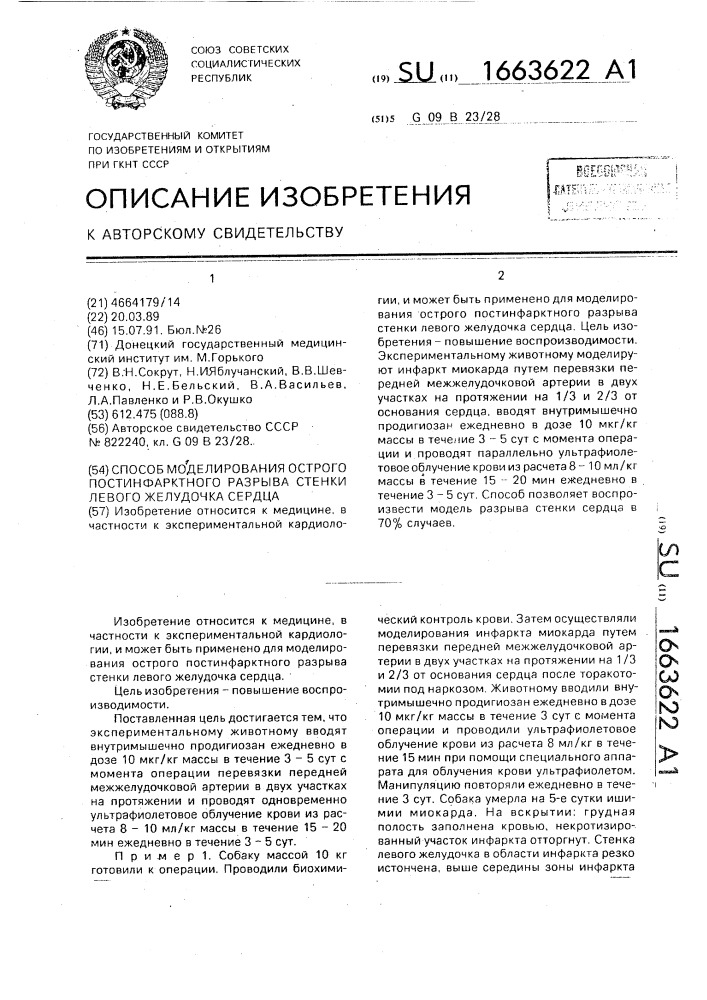 Способ моделирования острого постинфарктного разрыва стенки левого желудочка сердца (патент 1663622)