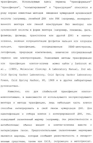 Гены corynebacterium glutamicum, кодирующие белки метаболических путей (патент 2306339)