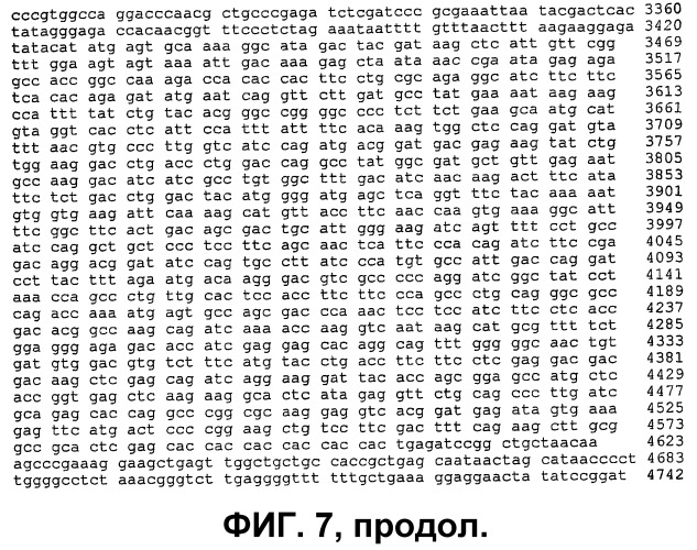 Гематопоэтические стволовые клетки и способы лечения неоваскулярных заболеваний глаз с их помощью (патент 2389497)