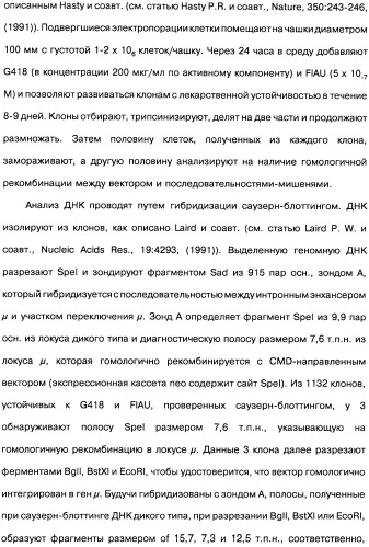 Человеческие моноклональные антитела к рецептору эпидермального фактора роста (egfr), способ их получения и их использование, гибридома, трансфектома, трансгенное животное, экспрессионный вектор (патент 2335507)