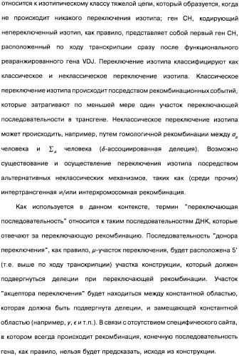 Человеческие моноклональные антитела к рецептору эпидермального фактора роста (egfr), способ их получения и их использование, гибридома, трансфектома, трансгенное животное, экспрессионный вектор (патент 2335507)