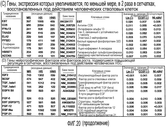 Выделенные популяции миелоподобных клеток и способы лечения с использованием таких популяций (патент 2473686)