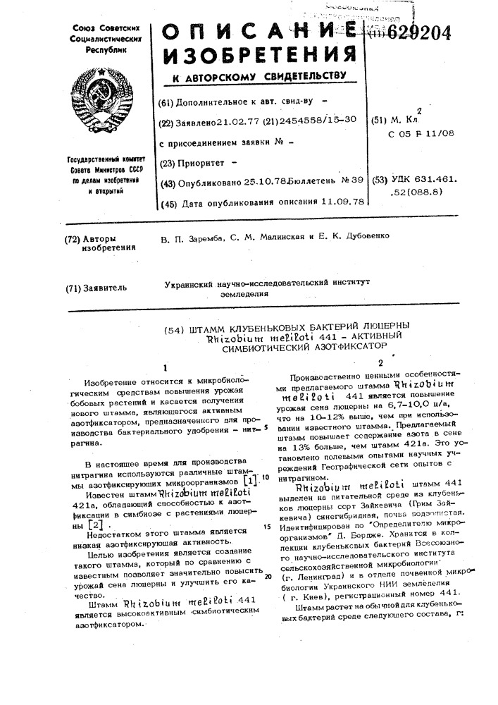 Штамм клубеньковых бактерий люцерны 441-активный симбиотический азотфиксатор (патент 629204)