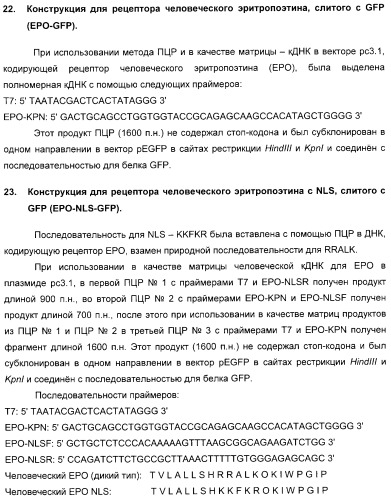 Способ идентификации соединений, взаимодействующих с трансмембранными белками (патент 2326166)