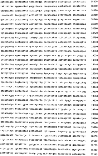 Бактериофаг, обладающий активностью против pseudomonas aeruginosa, белки бактериофага и способы их применения (патент 2580248)