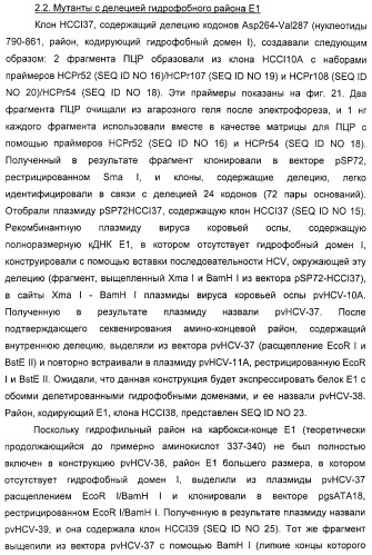 Очищенные белки оболочки вируса гепатита с для диагностического и терапевтического применения (патент 2313363)