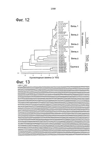 Клонирование и использование функционального r-гена из solanum chacoense (патент 2586509)