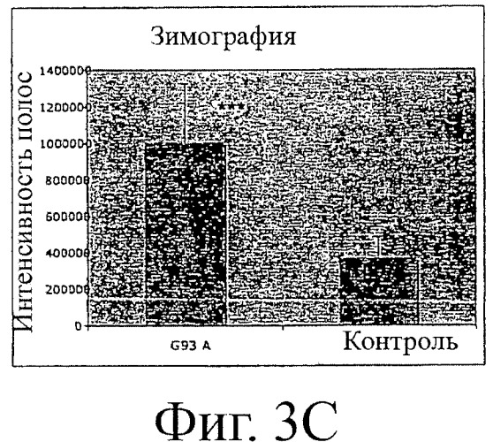 Применение ингибиторов урокиназы для лечения и/или предупреждения невропатологических заболеваний (патент 2410087)