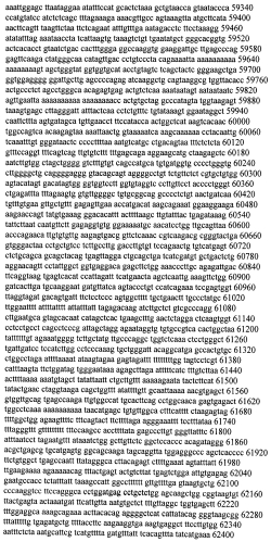 Модуляция экспрессии гентингтина (патент 2562861)