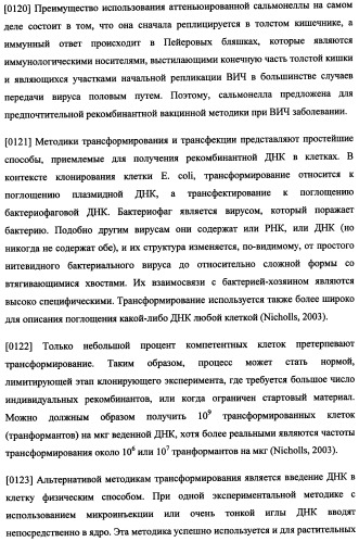 Иммуногенная композиция и способ разработки вакцины, основанной на участках матричного белка вич (патент 2403915)