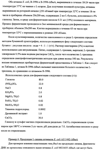 Способ получения l-треонина с использованием бактерии, принадлежащей к роду escherichia, в которой инактивирован ген fhua (патент 2333955)
