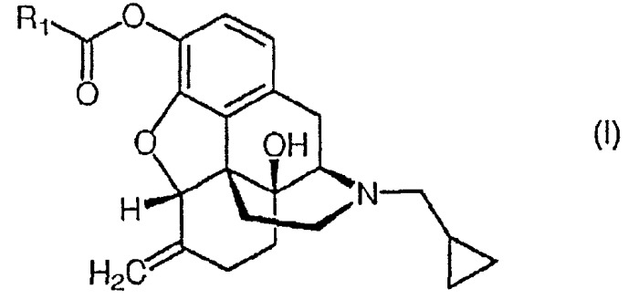 Пролекарства налмефена (патент 2495042)