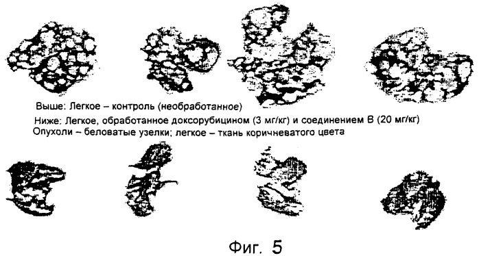 Васкулостатические агенты и способы их применения (патент 2351586)