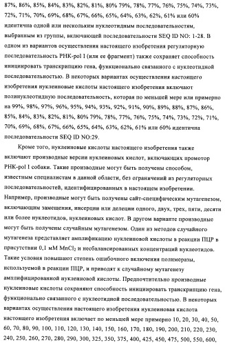Способы и композиции для экспрессии антисмысловой вирусной рнк в клетках собаки (патент 2457250)