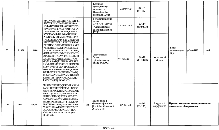Бактериофаг, обладающий активностью против pseudomonas aeruginosa, белки бактериофага и способы их применения (патент 2580248)