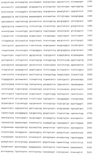 Выделенный полинуклеотид, кодирующий полипептид, вовлеченный в биосинтез пирипиропена а, вектор и клетка-хозяин содержащие такой полинуклеотид и способ получения предшественника пирипиропена а (варианты) (патент 2540017)