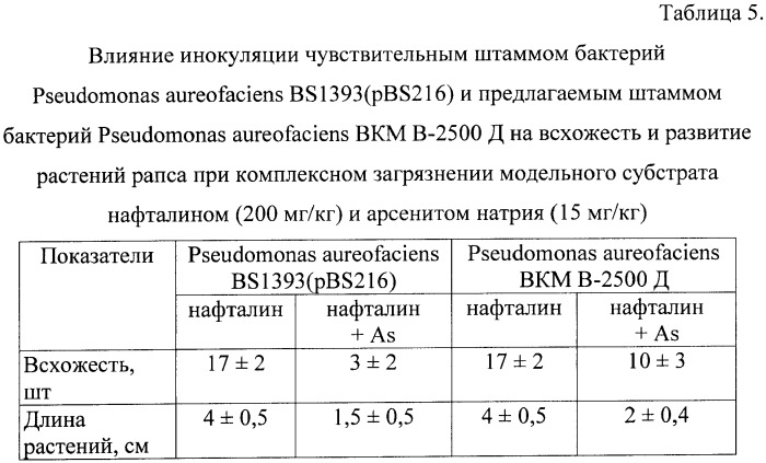 Штамм бактерий pseudomonas aureofaciens вкм в-2500 д для биодеградации полициклических ароматических углеводородов в условиях загрязнения почв арсенитом натрия (патент 2396338)