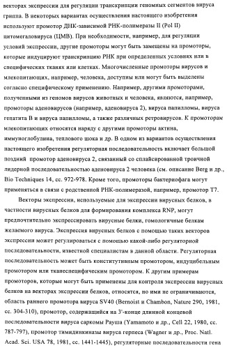Способы и композиции для экспрессии антисмысловой вирусной рнк в клетках собаки (патент 2457250)