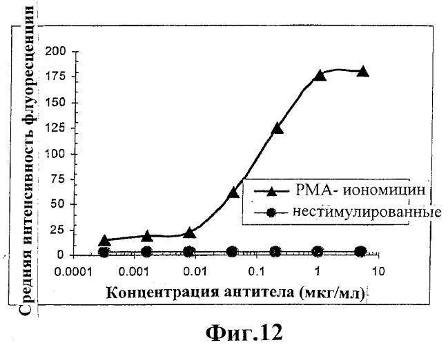 Человеческие антитела против человеческого 4-1вв (cd137) (патент 2376316)