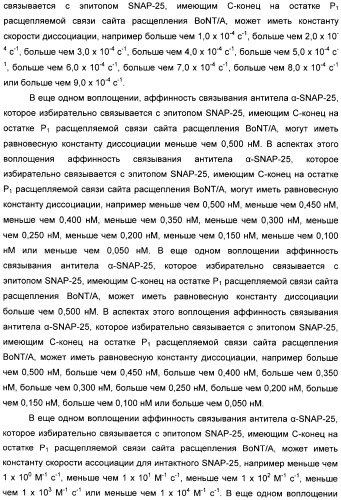 Иммунологические анализы активности ботулинического токсина серотипа а (патент 2491293)