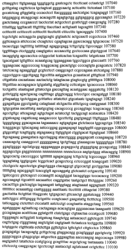 Модуляция экспрессии гентингтина (патент 2562861)
