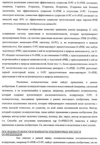 Система экспрессии компонентов ортогональной трансляции в эубактериальной клетке-хозяине (патент 2467069)