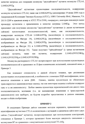 Способ лечения сердечно-сосудистого заболевания с применением растворимого ctla4 (патент 2353384)