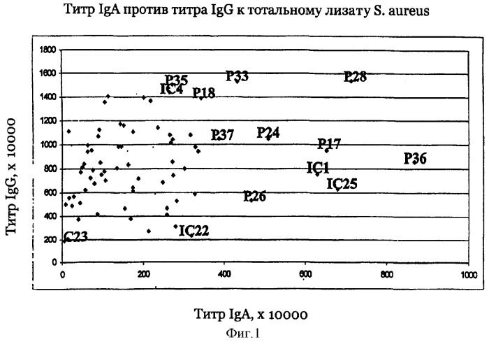 Способ идентификации, выделения и получения антигенов определенного патогена (патент 2289817)