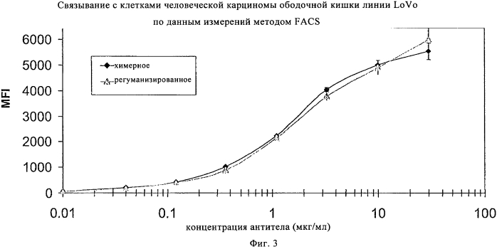 Гуманизированные моноклональные антитела к сеа с созревшей аффинностью (патент 2570554)