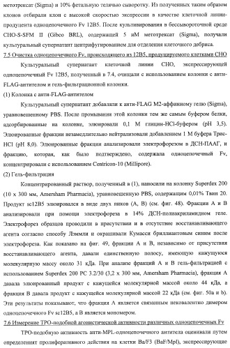 Агонистическое соединение, способное специфически узнавать и поперечно сшивать молекулу клеточной поверхности или внутриклеточную молекулу (патент 2430927)