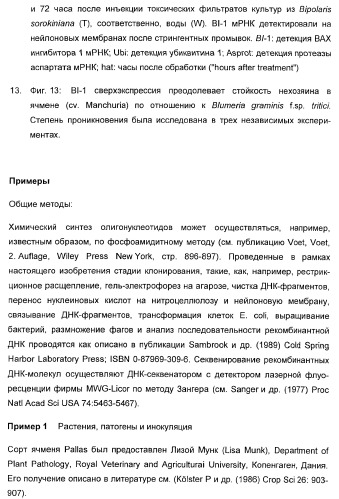 Способ повышения стойкости к стрессовым факторам в растениях (патент 2375452)