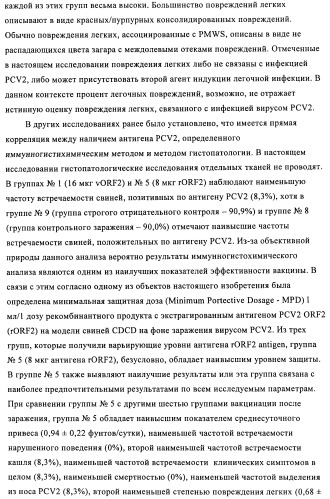 Поливалентные иммуногенные композиции pcv2 и способы получения таких композиций (патент 2488407)